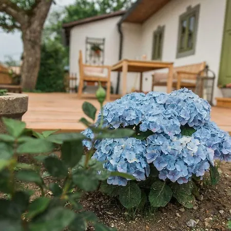 Dom wakacyjny Nebo Nad Stiavnicou - Zelena Chalupa S Vyhladom *