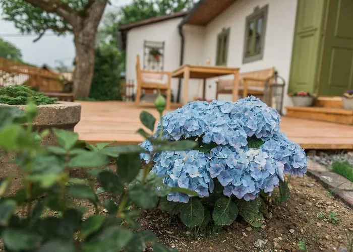 Σπίτι διακοπών Nebo Nad Stiavnicou - Zelena Chalupa S Vyhladom *